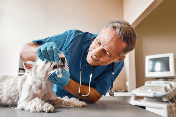 Best Weekend Emergency Dentist in Coord, NC